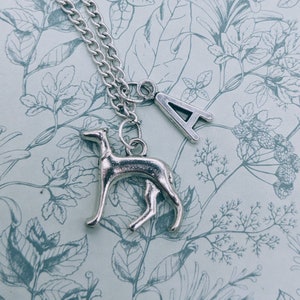 Puede incluir: Un collar de cadena de plata con un dije de perro de plata y un dije de plata con la letra A.
