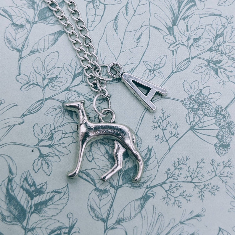Puede incluir: Un collar de cadena de plata con un dije de perro de plata y un dije de plata con la letra A.