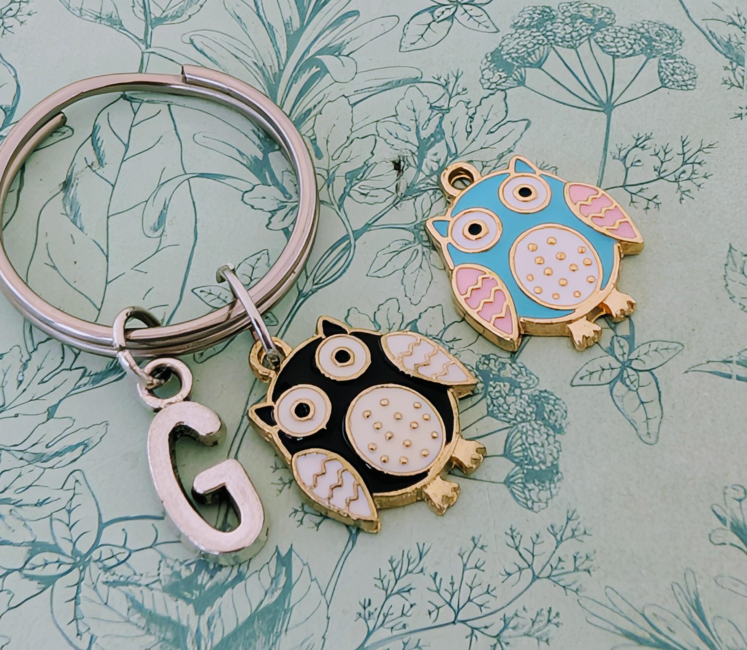 Colourful owl keyring, owl lover gifts, owl inspired gifts, owl keeper, barn owl, bird watcher keyri