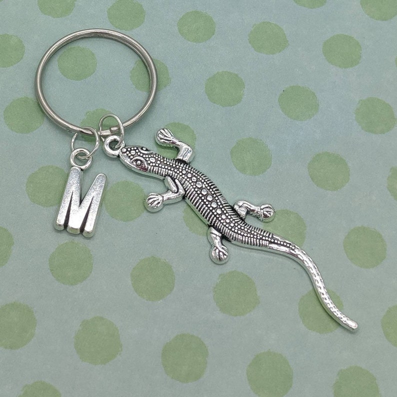 May include: Silver charm keyring featuring a lizard with a silver letter M charm. The keyring is on a green polka dot background.