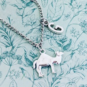 Op de afbeelding: Een zilveren ketting met een zilveren kameelhanger en een zilveren letter G-hanger. De ketting ligt op een lichtblauwe achtergrond met een bloemenpatroon.