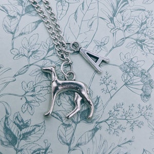 Puede incluir: Collar de plata con un dije de galgo y un dije de letra 'A' de plata. El collar est&aacute; sobre un fondo con estampado floral.