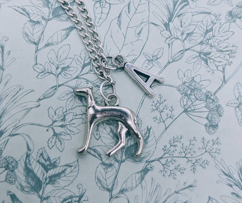 Puede incluir: Collar de plata con un dije de galgo y un dije de letra 'A' de plata. El collar est&aacute; sobre un fondo con estampado floral.