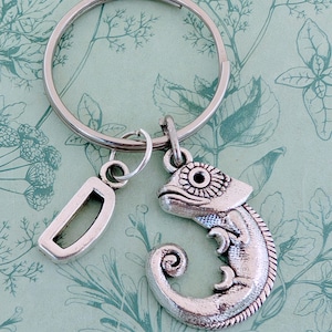May include: Silver-coloured keyring featuring a detailed chameleon charm and a letter "D" charm. The keyring includes a large metal ring for keys. The background is a light green colour with a floral pattern.