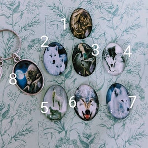 May include: Eight round glass charms featuring images of wolves, each charm has a number from 1 to 8 printed on the background. The charms are displayed on a white background with green leafy patterns.