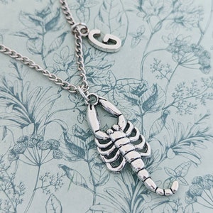Scorpion pendant necklace, scorpion jewelry, gifts for scorpion lovers, bug necklace, insect inspired gifts, bug jewellery, bug owner gifts
