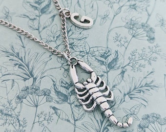 Scorpion pendant necklace, scorpion jewelry, gifts for scorpion lovers, bug necklace, insect inspired gifts, bug jewellery, bug owner gifts