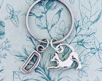 Cat Keychain, cat lover gifts, cat accessories, veterinary graduate gifts, veterinary nurse gifts, animal lover gifts, animal keychain,