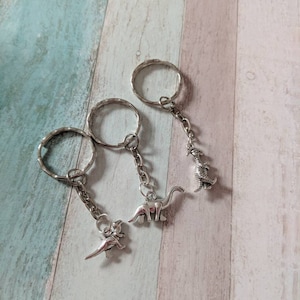 Dinosaur keyring, Dino lover, raptor accessory, diplodocus keyring, dinosaur gifts, historical gifts, friendship gifts, thank you gifts