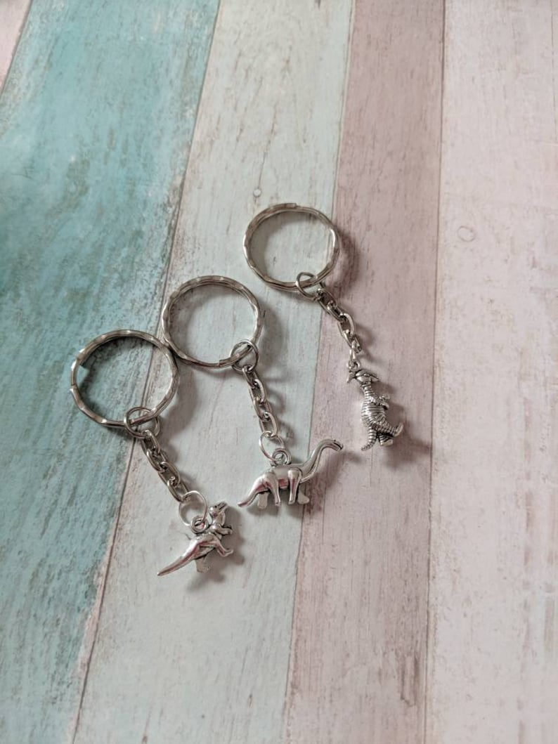 May include: Three silver keychains with dinosaur charms. The charms are of a stegosaurus, a brachiosaurus, and a velociraptor.