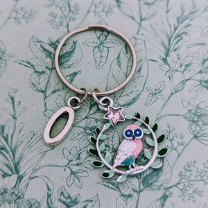 Eulen Schlüsselanhänger, Eule Schlüsselring, EulenTasche Accessoires, Geschenke für Eulen liebhaber, VogelUhr Geschenke, Schleiereule Geschenke, Geschenke für Vogelliebhaber, Vogel Geschenke