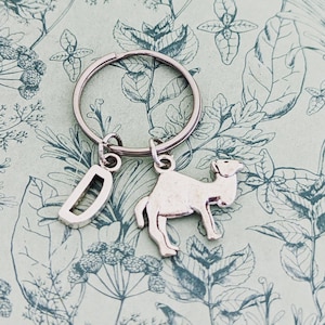 Op de afbeelding: Een zilveren sleutelhanger met een letter D en een kameelhanger. De sleutelhanger ligt op een achtergrond met een bloemenpatroon.