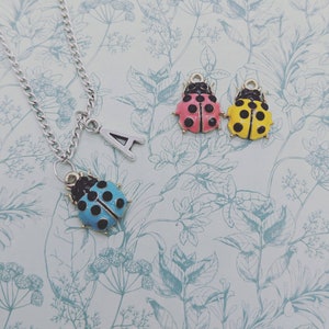 Colar de joaninha, joias de joaninha, joias de insetos, joias de insetos, presente para amantes de insetos, colar personalizado, presentes de joaninha,