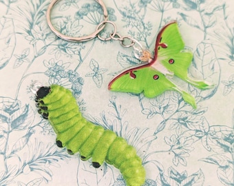 Llavero de oruga, llavero de mariposa, llavero de mariposa, regalos para amantes de los insectos, regalos para coleccionistas de insectos, temática de oruga, temática de mariposa,