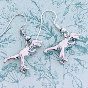 T-Rex Ohrringe, T-Rex Schmuck, Dino Liebhaber, Geschenke für Dinosaurier Liebhaber, Dinosaurier Themen, Dinosaurier Archäologen Geschenke, Dinosaurier Ohrringe,