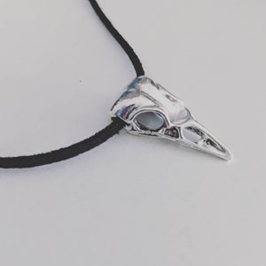 Pu&ograve; includere: Un ciondolo a forma di teschio di uccello argentato su una collana con cordoncino nero.