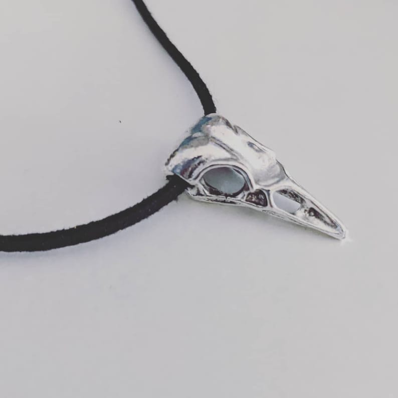 Pu&ograve; includere: Un ciondolo a forma di teschio di uccello argentato su una collana con cordoncino nero.