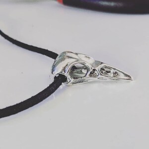 Pu&ograve; includere: Un ciondolo a forma di teschio di uccello argentato su una collana con cordoncino nero.