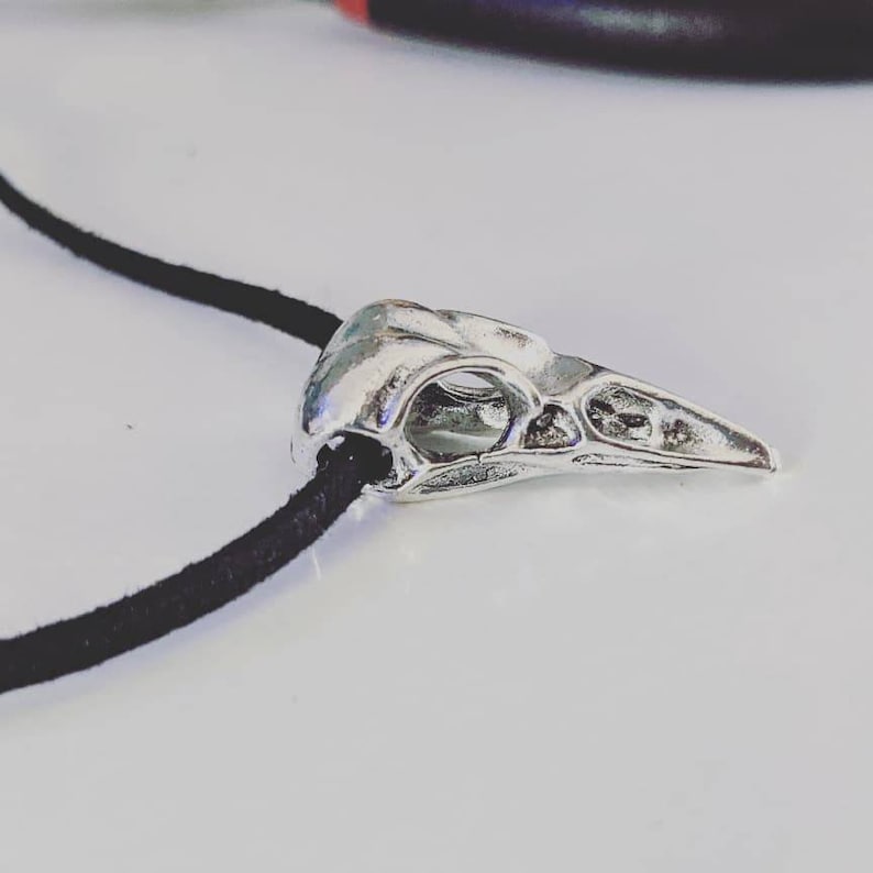 Pu&ograve; includere: Un ciondolo a forma di teschio di uccello argentato su una collana con cordoncino nero.