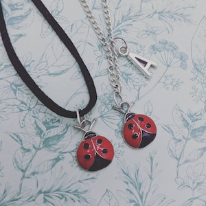 Colar de joaninha, joias de joaninha, colar de joaninha, joias de joaninha, colar personalizado, colar de insetos, presentes de joalheria,