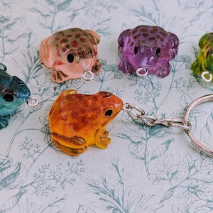 May include: Six colourful frog keyrings in shades of blue, pink, purple, green, and orange. Each frog has a silver ring attached to its mouth, and one is connected to a silver keyring.
