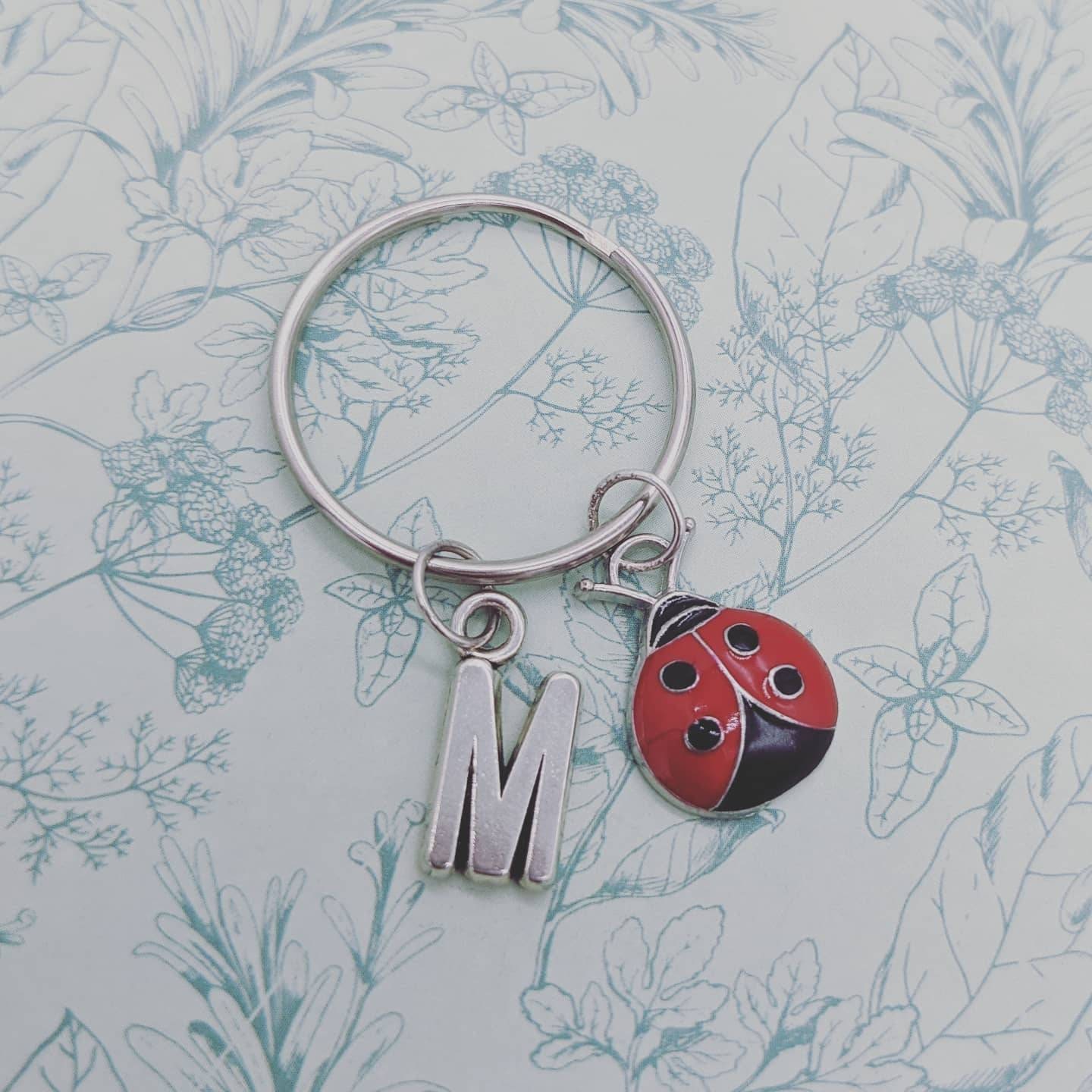 Miraculous Ladybug Keychain Etsy UK
