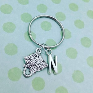 Stingray keychain, stingray gifts, nautical keyring, personalised keyring, manta ray keychain, manta ray keyring, sister gifts, sea animal,