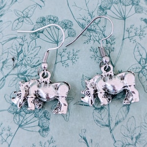 Rhino earrings, rhino jewellery, gifts for rhino lovers, wildlife vet gifts, animal earrings, rhino accessories, zoo keeper gifts,