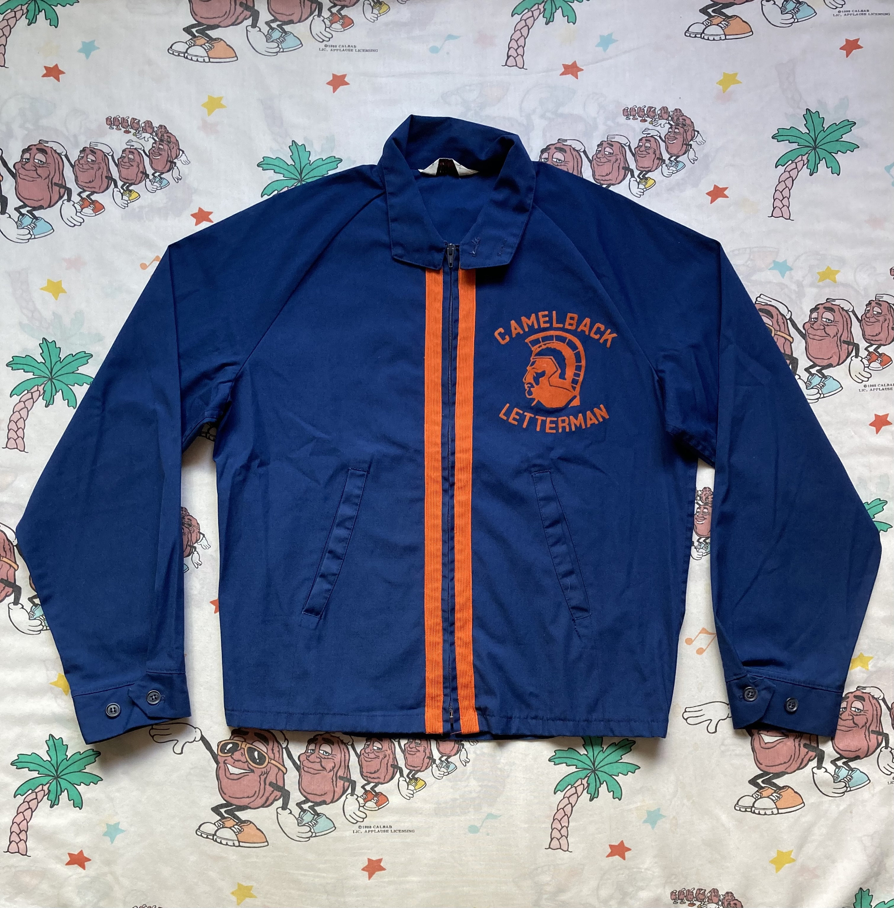 Vintage 60s/70s Collegiate Pacific Camelback Lettermen Flock 