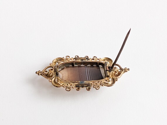 Antique Victorian Brooch, Polished Brown Banded N… - image 5