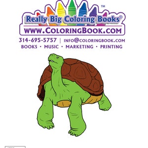 Zoo Animals Coloring Book Back Cover ColoringBook.com