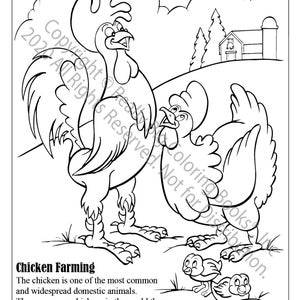 Chicken Farming Coloring Page ColoringBook.com