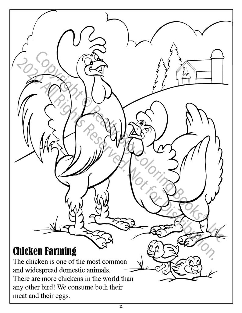 Chicken Farming Coloring Page ColoringBook.com