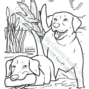 Sporting Dogs Coloring Page ColoringBook.com
