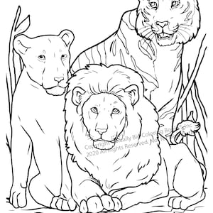 Lions and Tigers Coloring Page ColoringBook.com