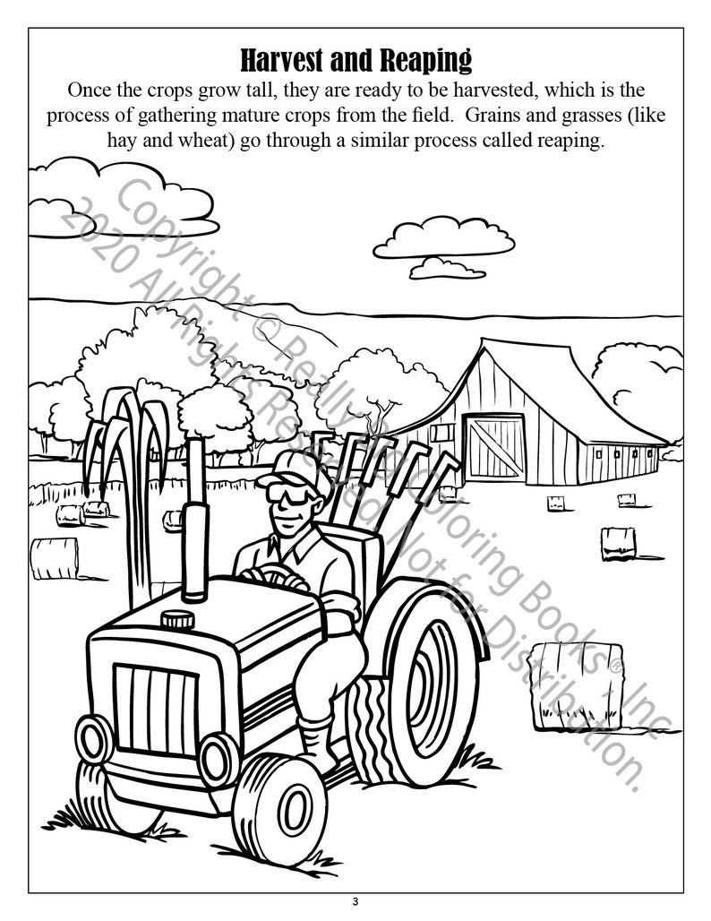 Harvest Coloring Page ColoringBook.com