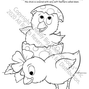 Baby Chicks Easter Coloring Page ColoringBook.com