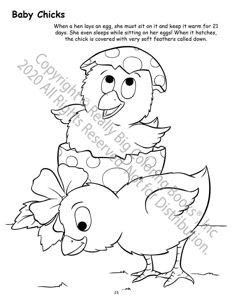 Baby Chicks Easter Coloring Page ColoringBook.com