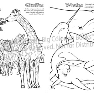 Zoo Coloring Page ColoringBook.com