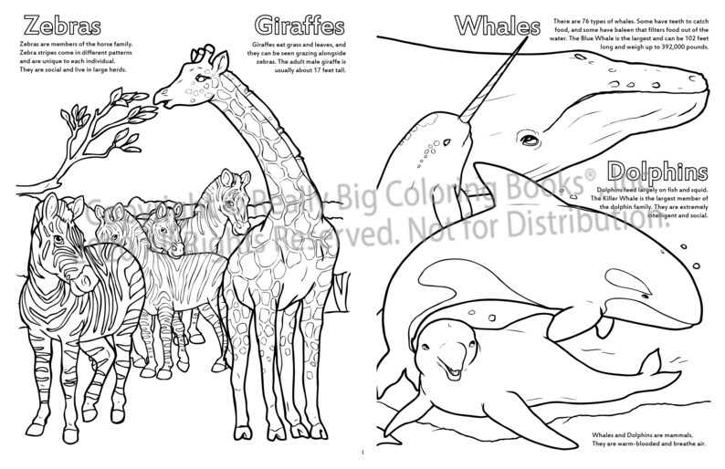 Zoo Coloring Page ColoringBook.com