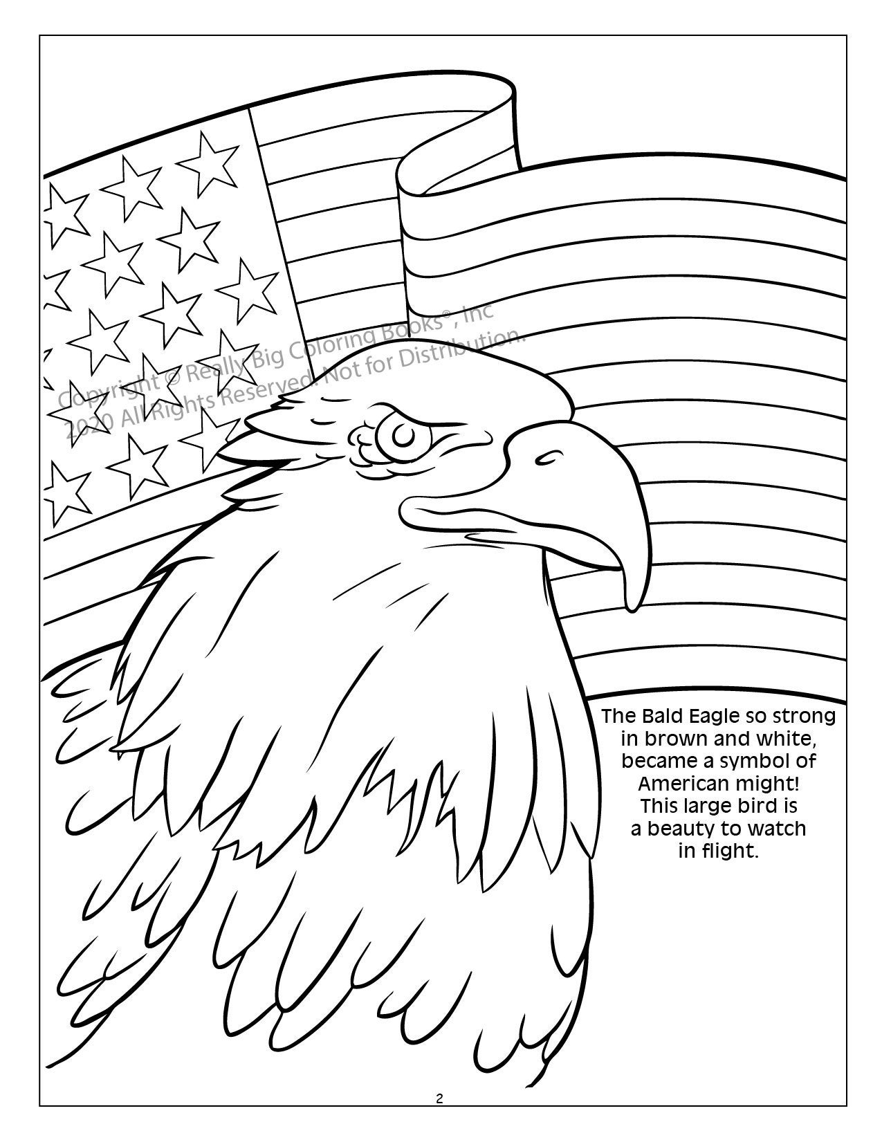 4th of July Coloring Book Celebrate America Power Panel | Etsy