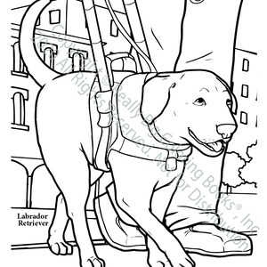Service Dogs Coloring Page ColoringBook.com