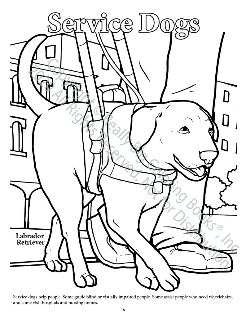 Service Dogs Coloring Page ColoringBook.com
