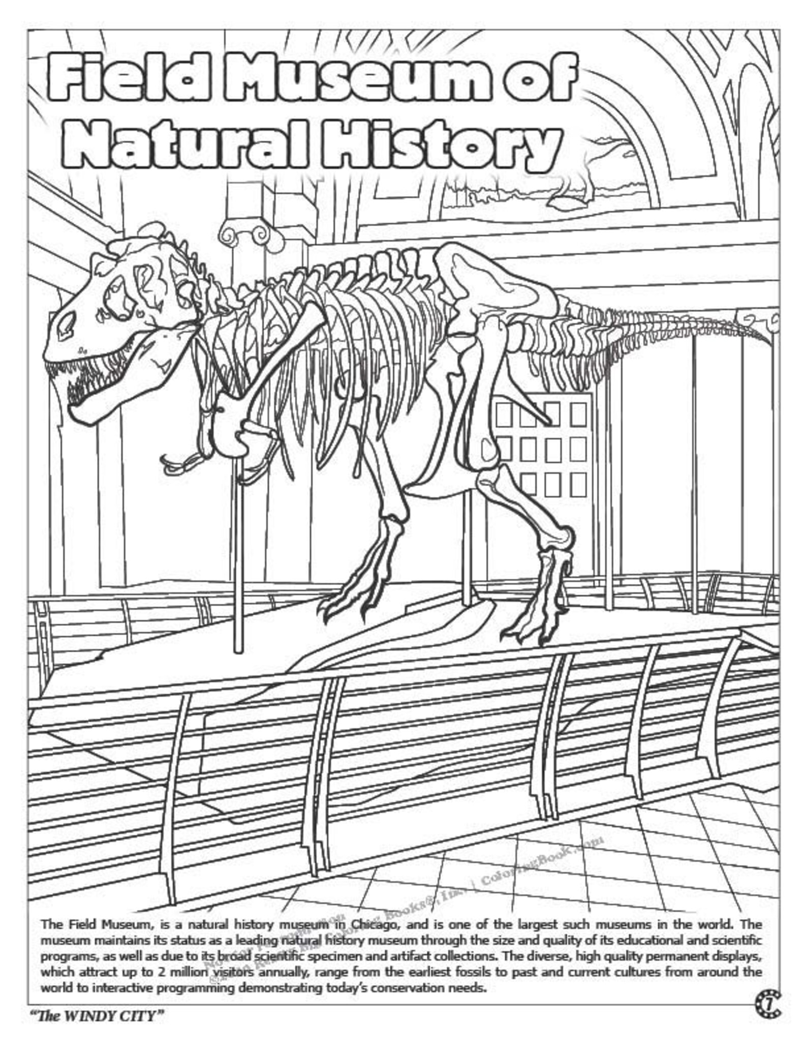 Chicago Coloring Book 8.5x11 - Etsy