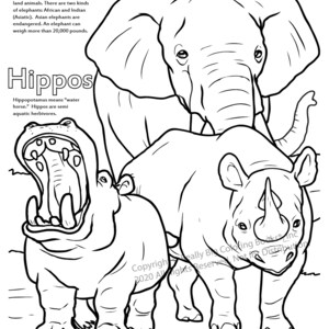 Elephants and Hippos Coloring Page ColoringBook.com