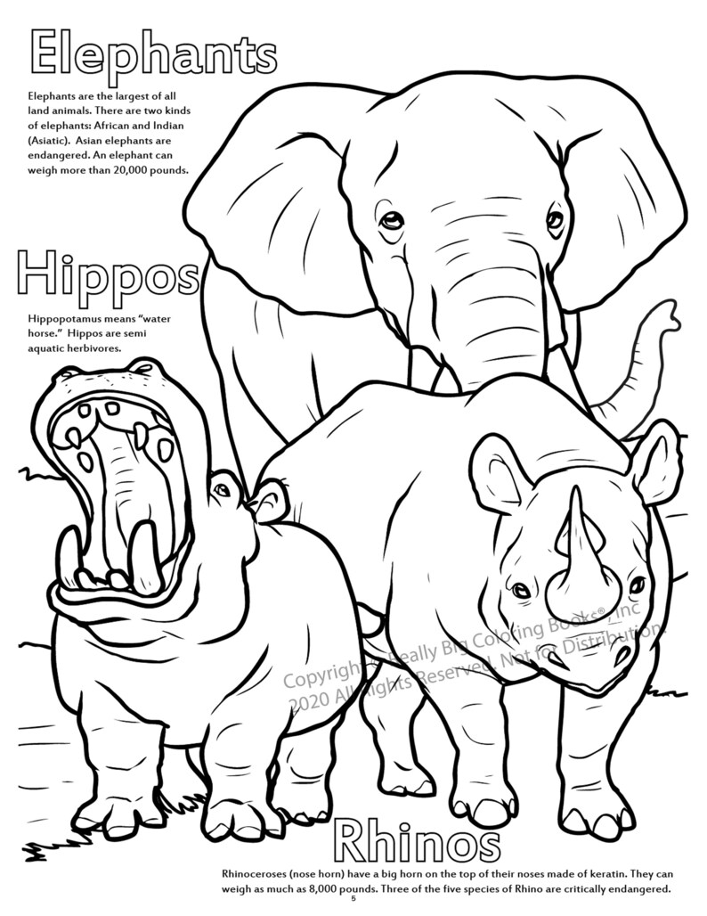 Elephants and Hippos Coloring Page ColoringBook.com