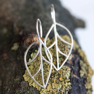 Puede incluir: Un par de pendientes de plata en forma de hoja con un delicado diseño de alambre. Los pendientes cuelgan de una rama con musgo verde.