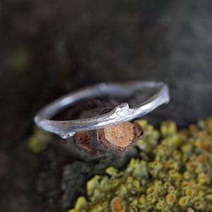 May include: A silver ring shaped like a twig, resting on a piece of bark and moss.