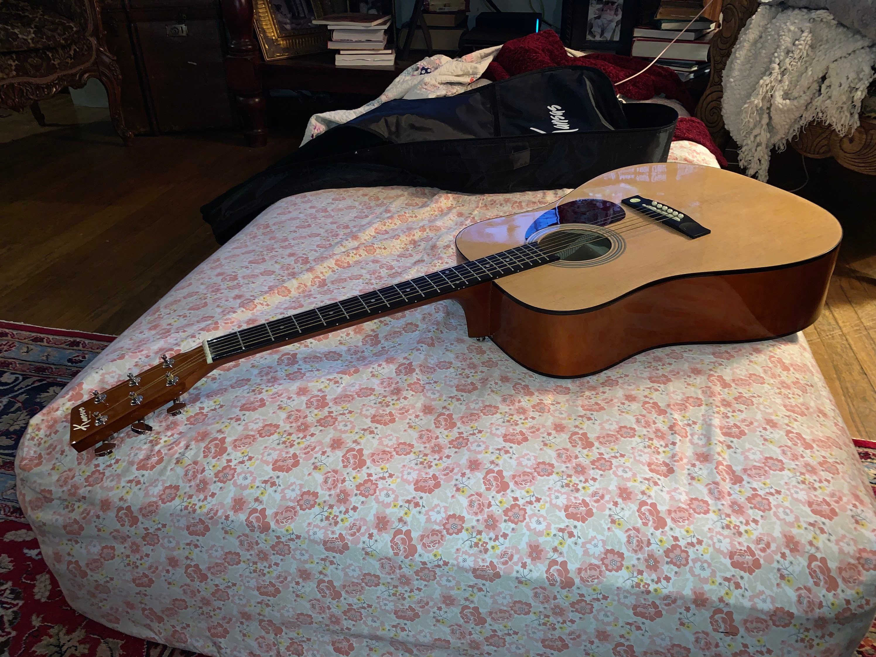 Kansas acoustic sale guitar