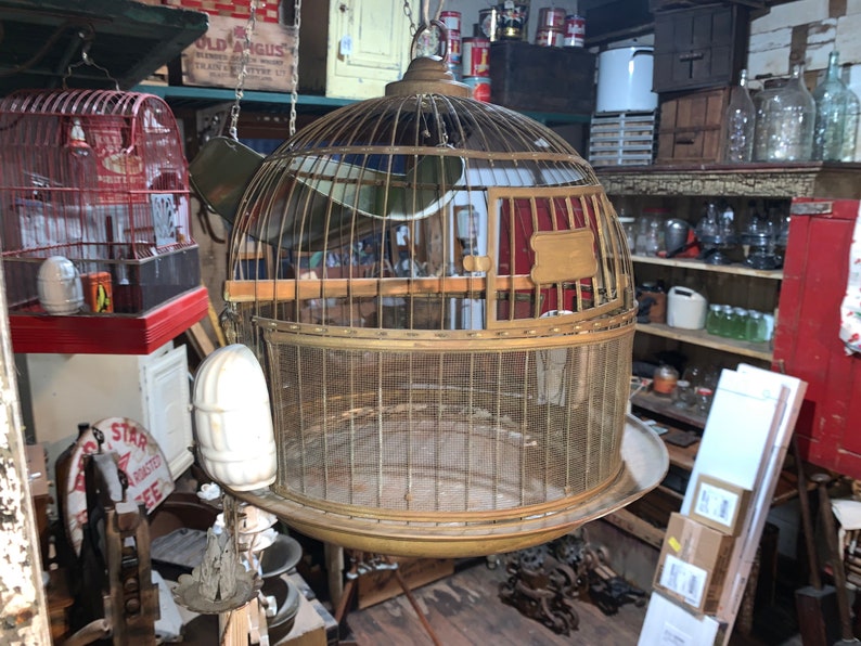 May include: A large, antique, brass birdcage with a round, domed top and a wire mesh bottom. The cage is hanging from a chain and is surrounded by other antique items.